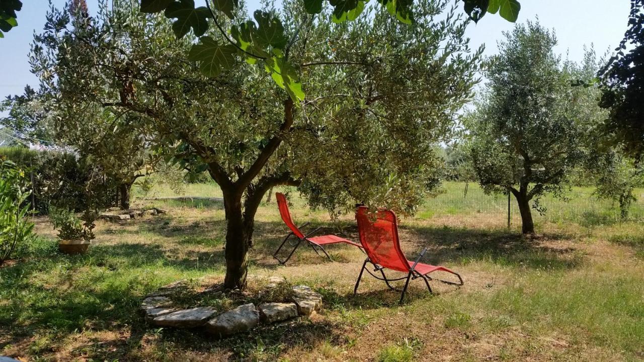 Vera Apartment